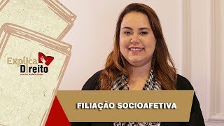 Explica Direito Filiação Socioafetiva  2019 [upl. by Forward]